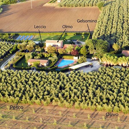 Podere Campi Al Mare Donoratico Zewnętrze zdjęcie